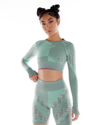 Corp Tops Gymshark Wtflex Cyborg Seamless Long Sleeve Mujer Azules Rosas Azules | CO 2554XYU